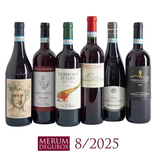 Nebbiolo d'Alba, 6 Fl.