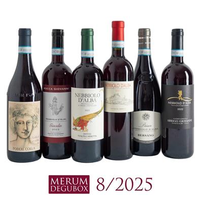 Nebbiolo d'Alba, 6 Fl.