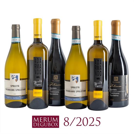 Trebbiano Spoletino, 6 Fl.