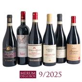 Amarone, 6 Fl.