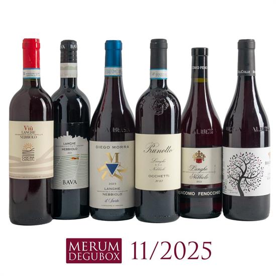 Nebbiolo Langhe, 6 Fl.
