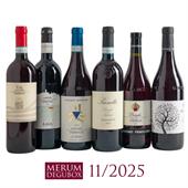 Nebbiolo Langhe, 6 Fl.