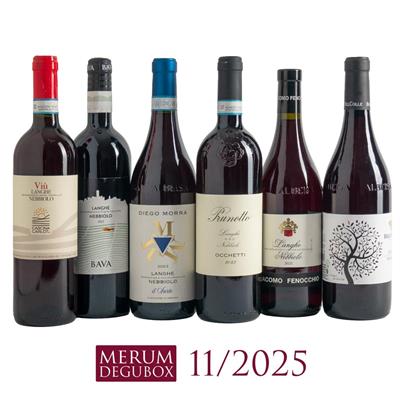 Nebbiolo Langhe, 6 Fl.