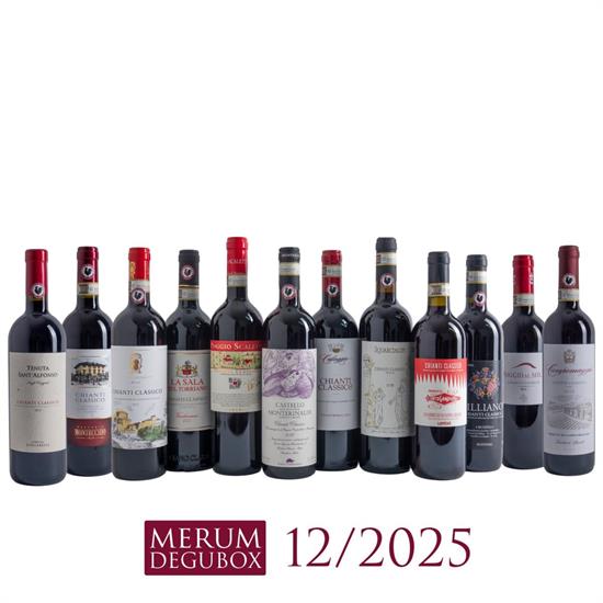 Chianti Classico, 12 Fl.