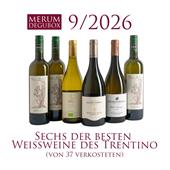 Trentino Weißweine, 6 Fl.