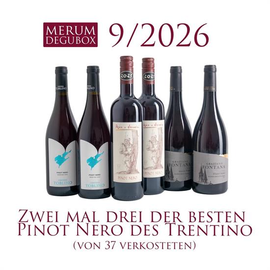 Trentino Rotweine, 6 Fl.