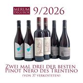 Trentino Rotweine, 6 Fl.