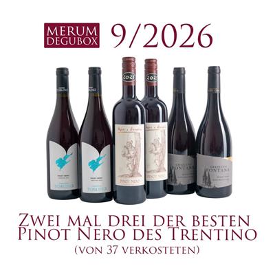 Trentino Rotweine, 6 Fl.